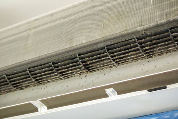 Professional Airduct Cleaning in Mulino, OR
